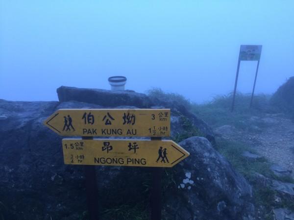 口袋森林世界杯传球大赛